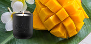 Coconut Mango Fusion