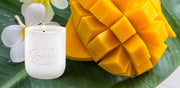 Coconut Mango Fusion